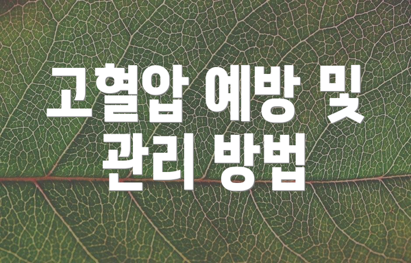 고혈압 예방 및 관리 방법