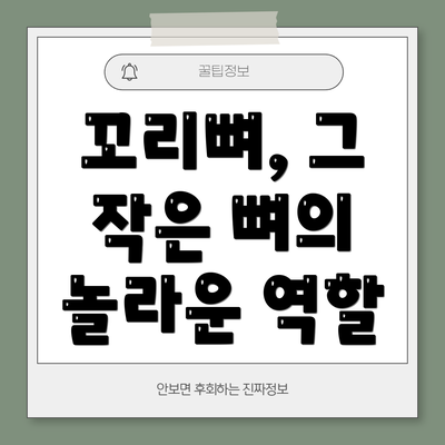 꼬리뼈, 그 작은 뼈의 놀라운 역할