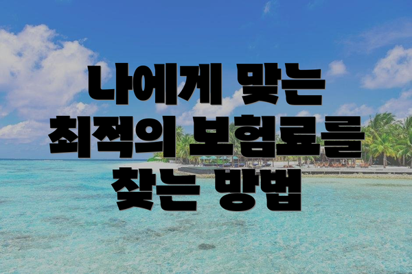 나에게 맞는 최적의 보험료를 찾는 방법