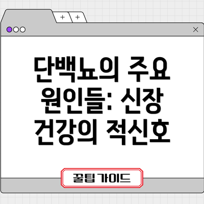 단백뇨의 주요 원인들: 신장 건강의 적신호