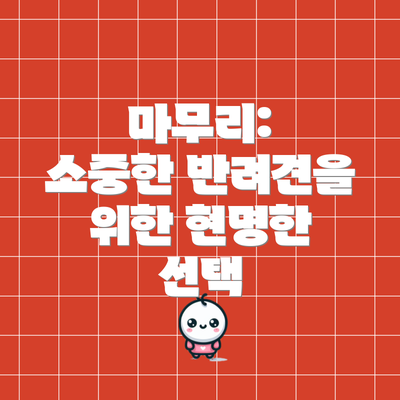 마무리:  소중한 반려견을 위한 현명한 선택
