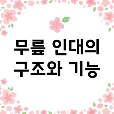 무릎 인대의 구조와 기능
