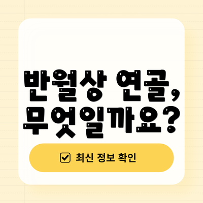 반월상 연골, 무엇일까요?