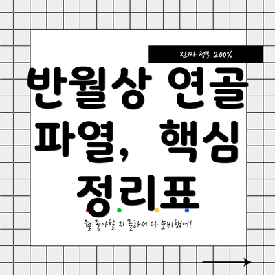 반월상 연골 파열,  핵심 정리표