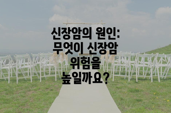 신장암의 원인: 무엇이 신장암 위험을 높일까요?