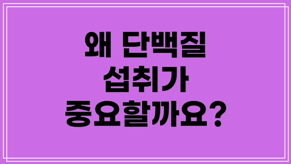 왜 단백질 섭취가 중요할까요?
