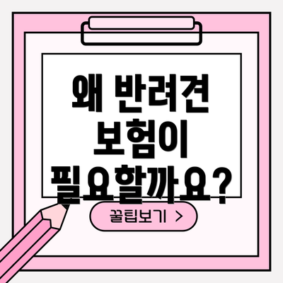 왜 반려견 보험이 필요할까요?