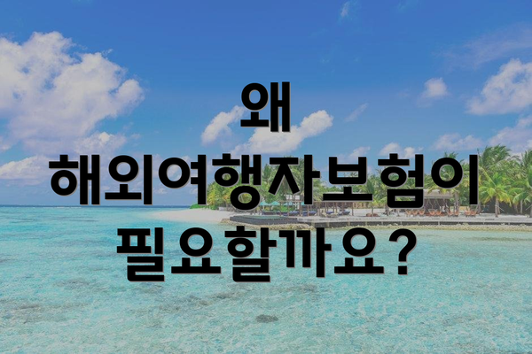 왜 해외여행자보험이 필요할까요?