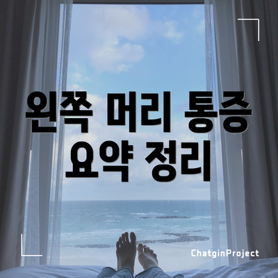 왼쪽 머리 통증 요약 정리