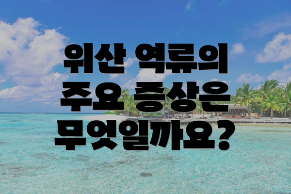 위산 역류의 주요 증상은 무엇일까요?