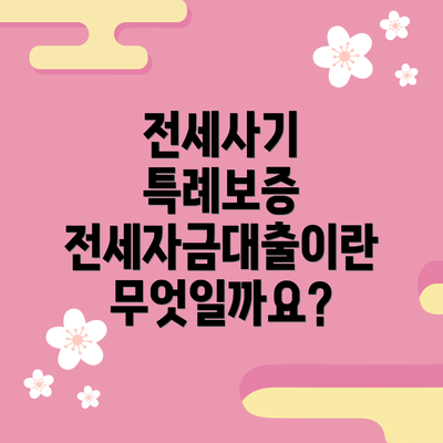 전세사기 특례보증 전세자금대출이란 무엇일까요?