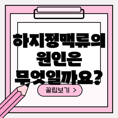 하지정맥류의 원인은 무엇일까요?