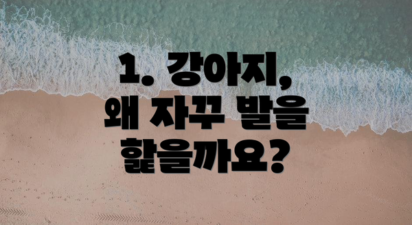 1. 강아지, 왜 자꾸 발을 핥을까요?