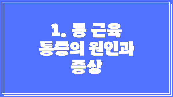1. 등 근육 통증의 원인과 증상