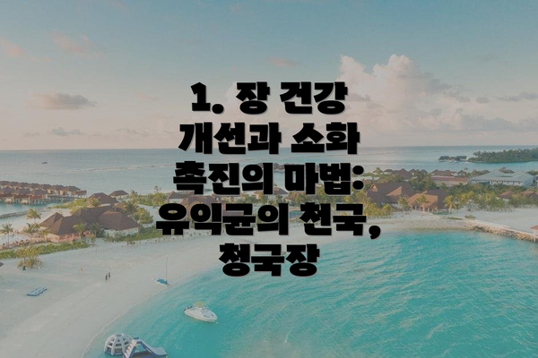 1. 장 건강 개선과 소화 촉진의 마법: 유익균의 천국, 청국장
