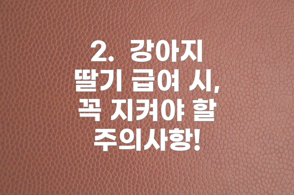 2.  강아지 딸기 급여 시, 꼭 지켜야 할 주의사항!