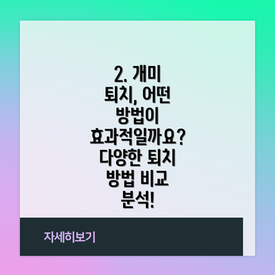 2. 개미 퇴치, 어떤 방법이 효과적일까요? 다양한 퇴치 방법 비교 분석!