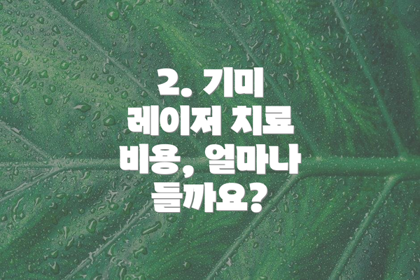2. 기미 레이저 치료 비용, 얼마나 들까요?