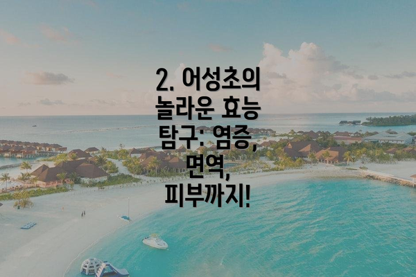 2. 어성초의 놀라운 효능 탐구: 염증, 면역, 피부까지!