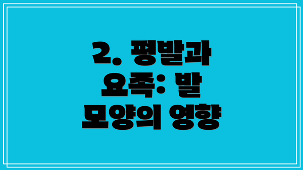 2. 평발과 요족: 발 모양의 영향