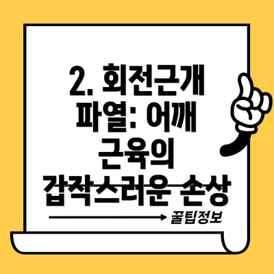2. 회전근개 파열: 어깨 근육의  갑작스러운 손상