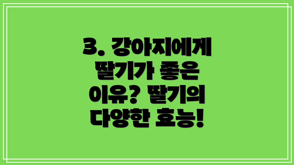 3. 강아지에게 딸기가 좋은 이유? 딸기의 다양한 효능!