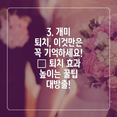 3. 개미 퇴치, 이것만은 꼭 기억하세요! ✅ 퇴치 효과 높이는 꿀팁 대방출!