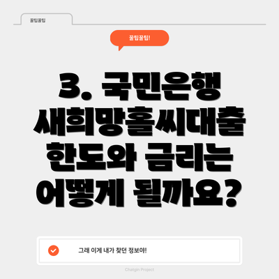 3. 국민은행 새희망홀씨대출 한도와 금리는 어떻게 될까요?