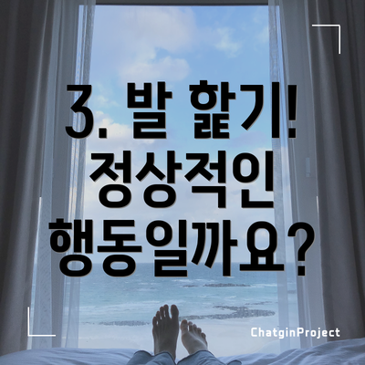 3. 발 핥기! 정상적인 행동일까요?