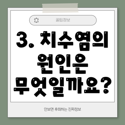 3. 치수염의 원인은 무엇일까요?