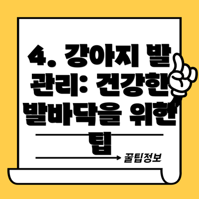 4. 강아지 발 관리: 건강한 발바닥을 위한 팁