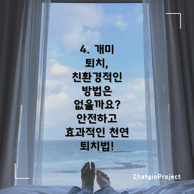 4. 개미 퇴치, 친환경적인 방법은 없을까요? 안전하고 효과적인 천연 퇴치법!