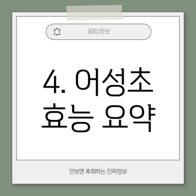 4. 어성초 효능 요약