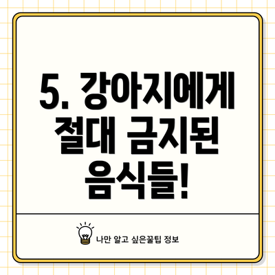 5. 강아지에게 절대 금지된 음식들!