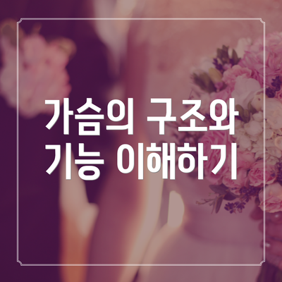 가슴의 구조와 기능 이해하기