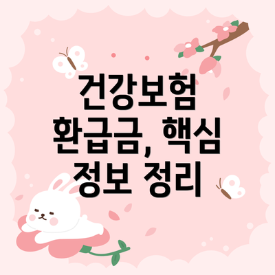 건강보험 환급금, 핵심 정보 정리