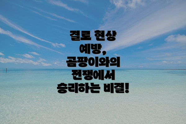 결로 현상 예방, 곰팡이와의 전쟁에서 승리하는 비결!