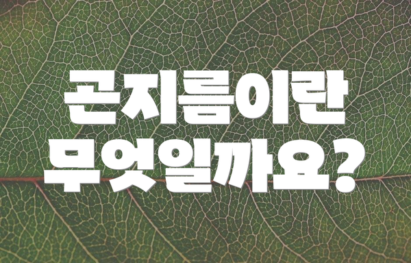 곤지름이란 무엇일까요?