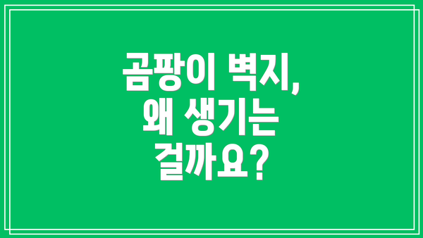 곰팡이 벽지, 왜 생기는 걸까요?