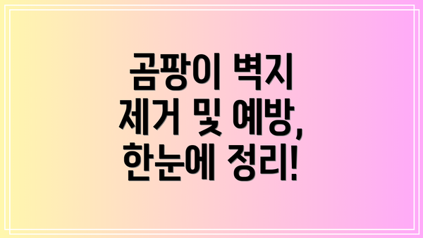 곰팡이 벽지 제거 및 예방, 한눈에 정리!