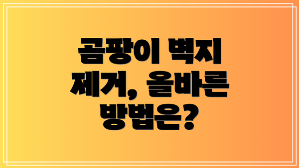 곰팡이 벽지 제거, 올바른 방법은?