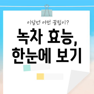 녹차 효능, 한눈에 보기