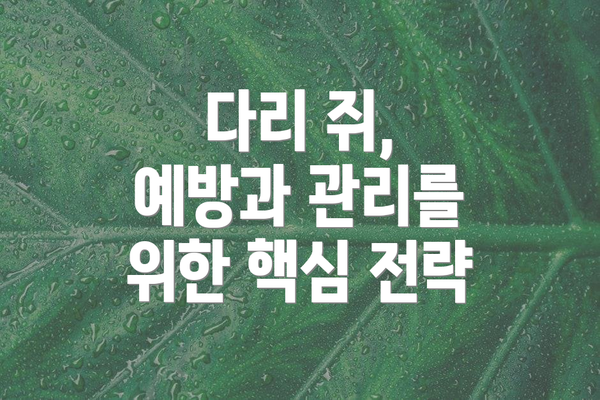 다리 쥐, 예방과 관리를 위한 핵심 전략