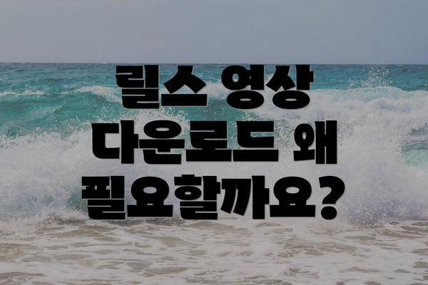 릴스 영상 다운로드 왜 필요할까요?