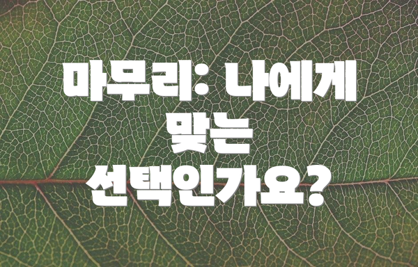 마무리: 나에게 맞는 선택인가요?
