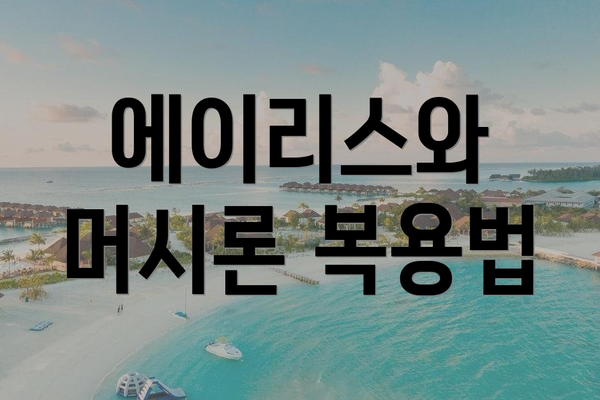 에이리스와 머시론 복용법