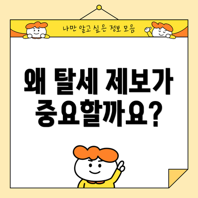 왜 탈세 제보가 중요할까요?