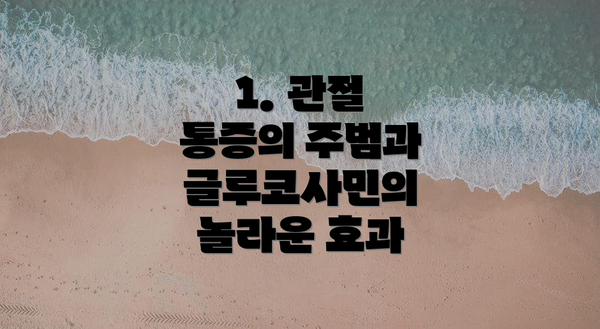 1. 관절 통증의 주범과 글루코사민의 놀라운 효과