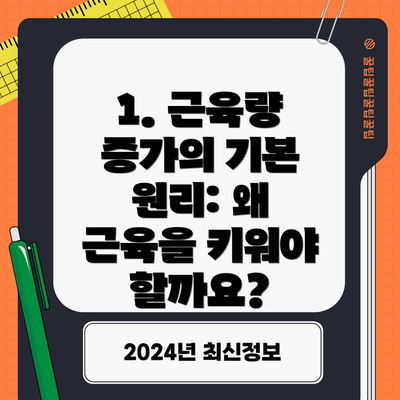 1. 근육량 증가의 기본 원리: 왜 근육을 키워야 할까요?