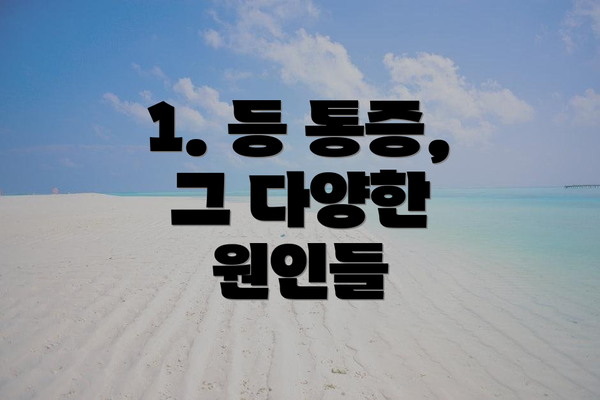1. 등 통증, 그 다양한 원인들